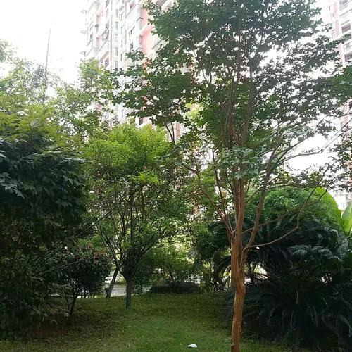 物業管理是指物業服務企業,按照物業服務合同約定,對房屋及配套的設施